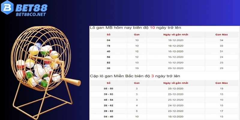 Cách tra cứu lô gan sao cho chuẩn xác và nhanh chóng